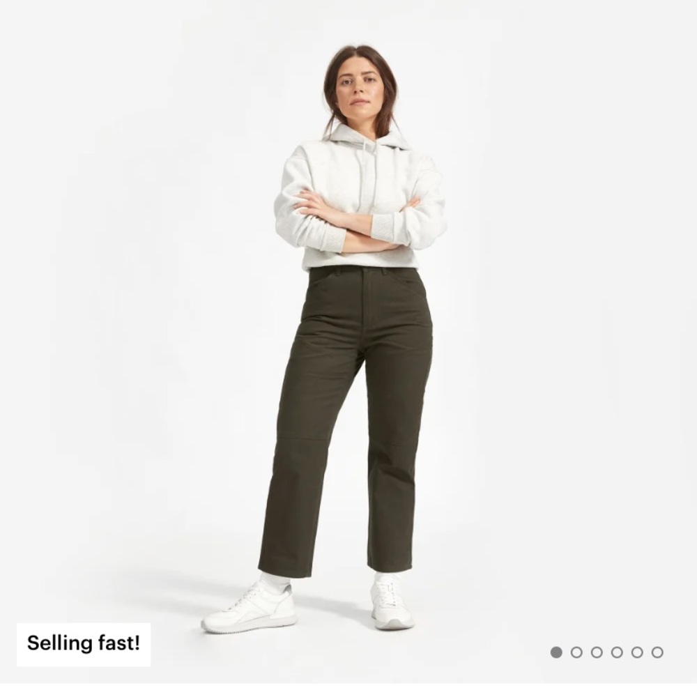 ❌ SOLD ❌ Everlane Carpenter Pant